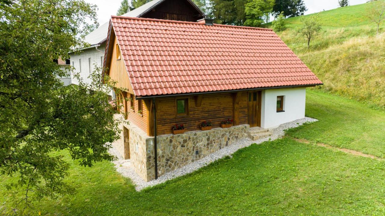 Ferienwohnung Grunt Sonek Mislinja Exterior foto