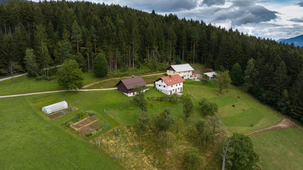 Ferienwohnung Grunt Sonek Mislinja Exterior foto