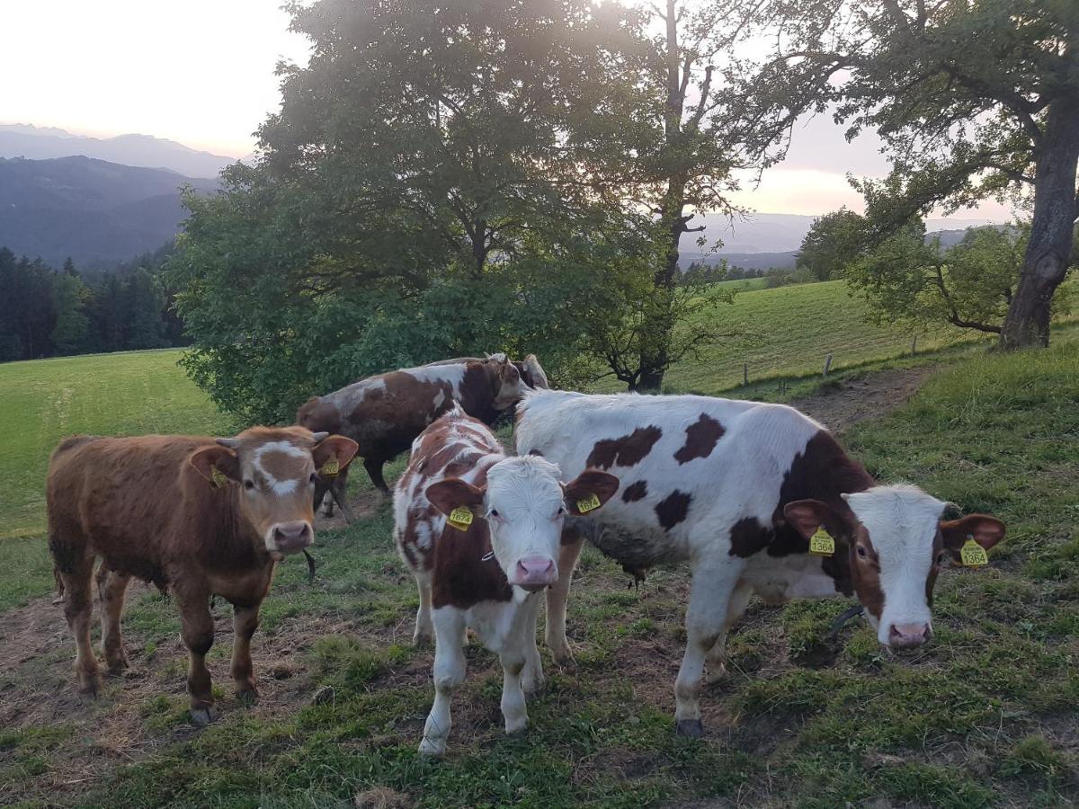 Ferienwohnung Grunt Sonek Mislinja Exterior foto