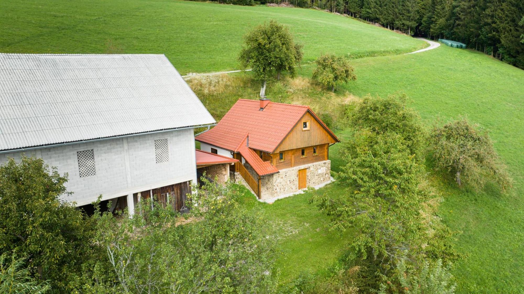 Ferienwohnung Grunt Sonek Mislinja Exterior foto